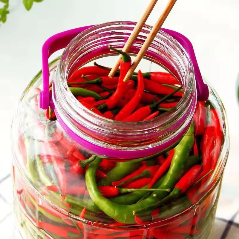 10 L Einmachglas – Mit Griff & Schraubverschluss für Küche & Vorrat