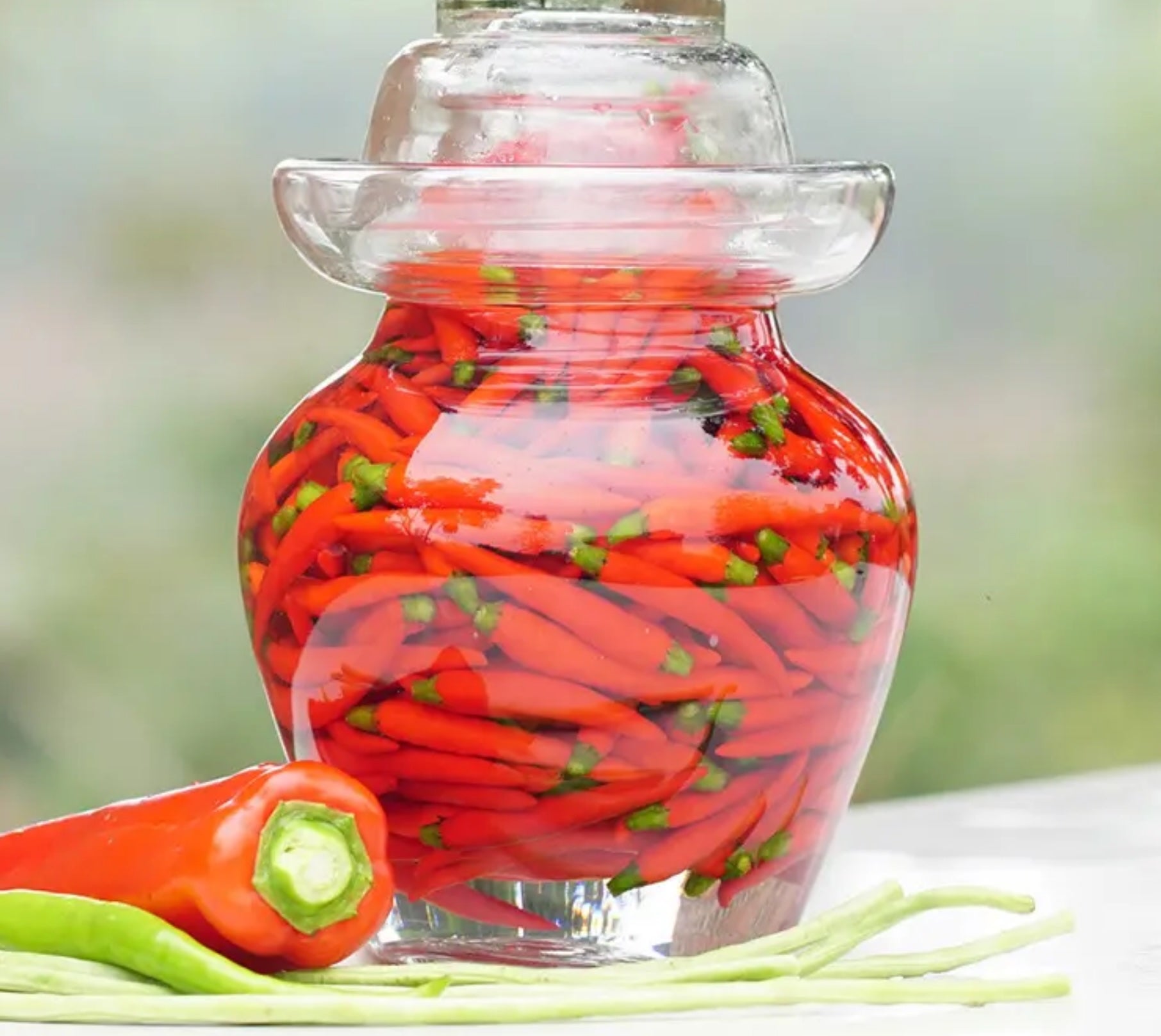 8L Fermentationsglas mit Deckel – für Kimchi, Sauerkraut & Kefir