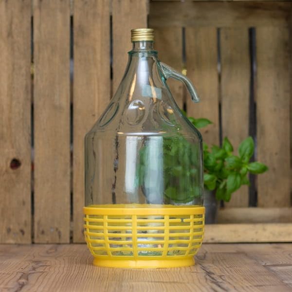6 x 5L Flasche mit Schraubverschluß und Schutzkorb