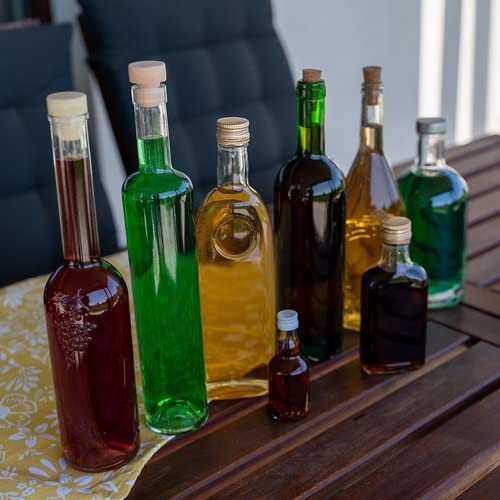 12 x Taschenflasche 100ml mit Schraubverschluss