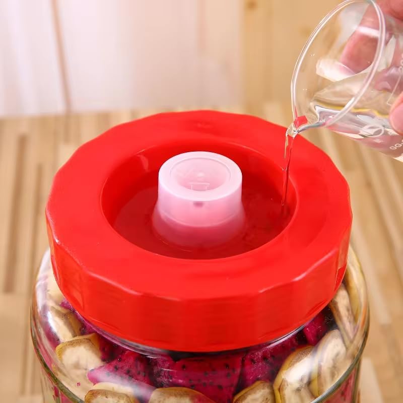 10L Glasballon+Gäraufsatz für Wein Bier Maische