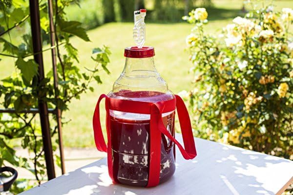 20 L Gärballon aus Kunststoff (PET)  + Gurte zum Tragen