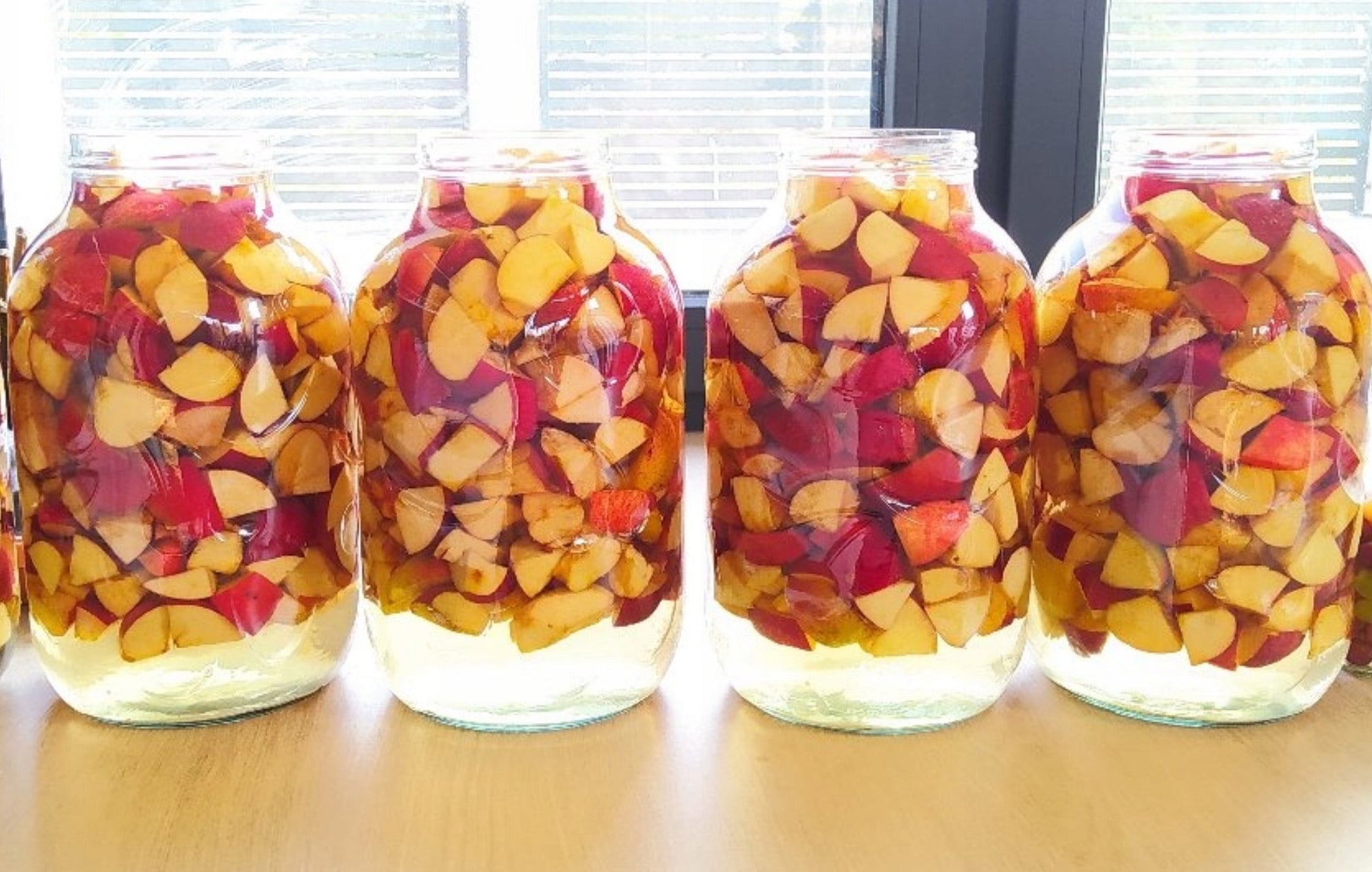 2x 5L Vorratsgläser mit Zange + Schraubverschlüss mit Griff