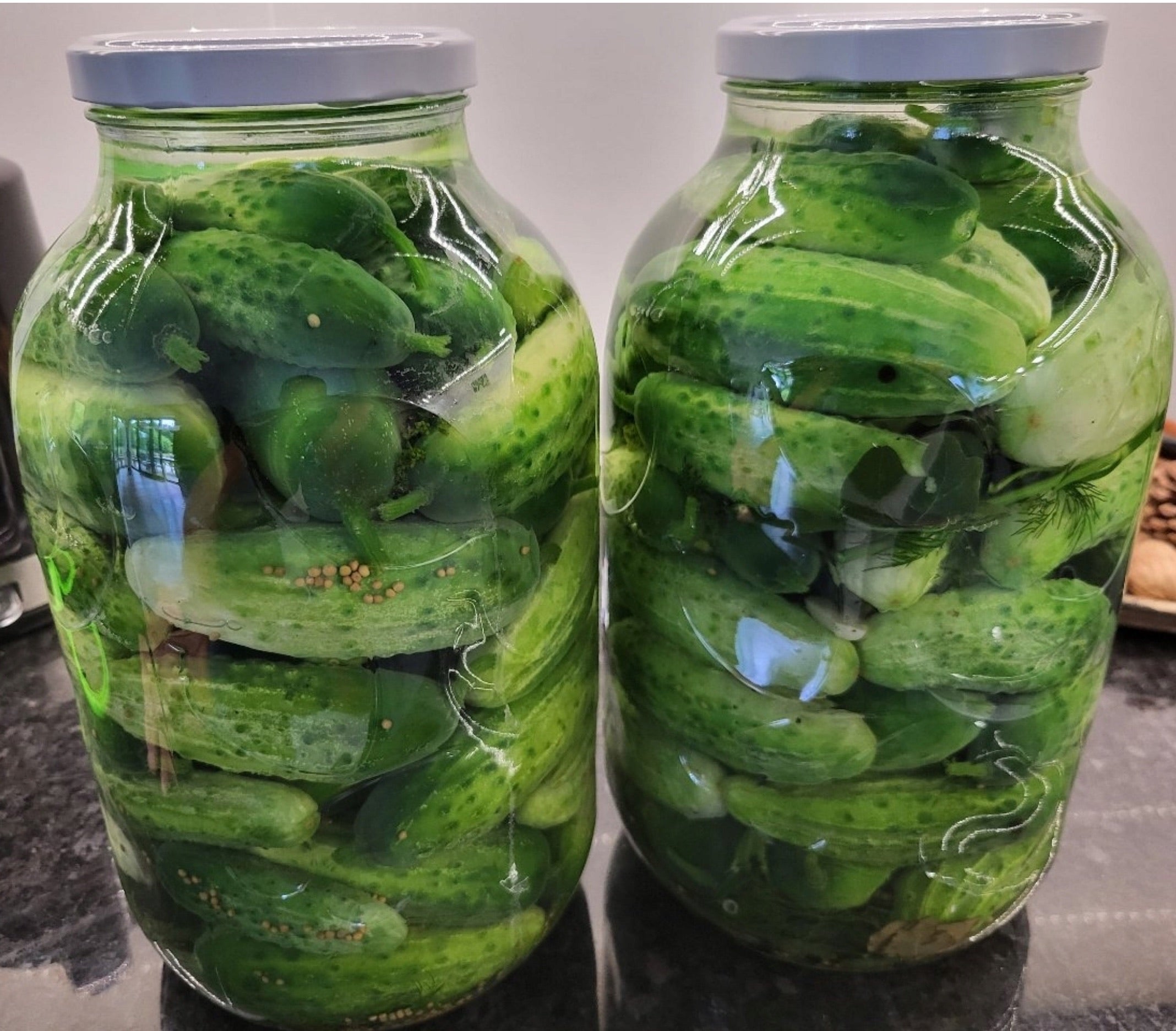2x 5L Einweckglas + Schraubverschluss
