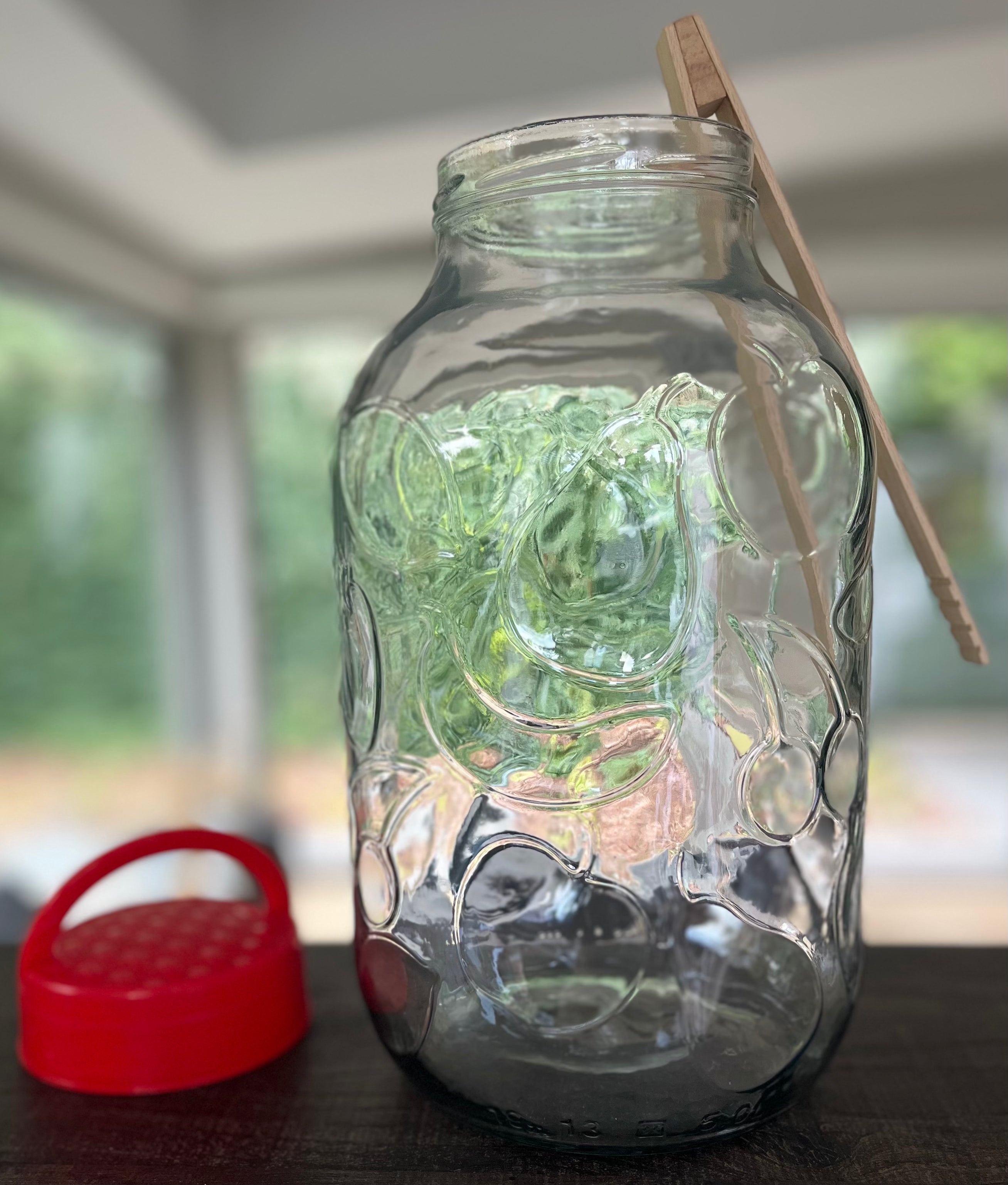 2x 5L Vorratsgläser mit Zange + Schraubverschlüss mit Griff