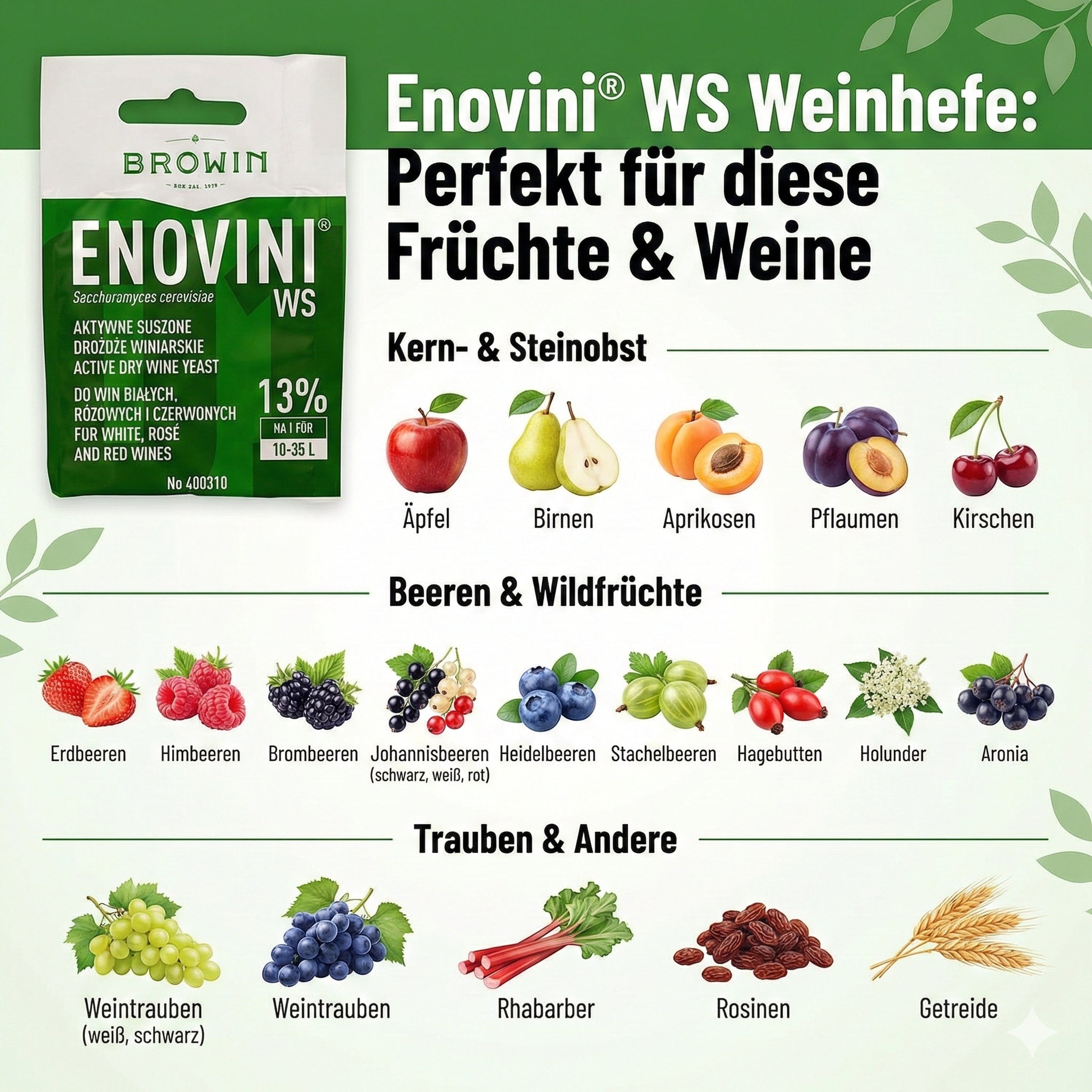 Enovini WS Weinhefe 7g – Universelle Trockenhefe für alle Obst- & Tafelweine