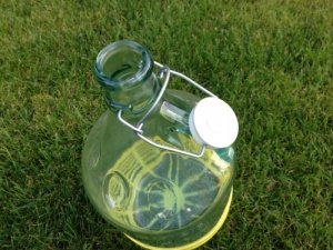 2 x 5L Flasche mit Bügelverschluss und Kunstofkorb