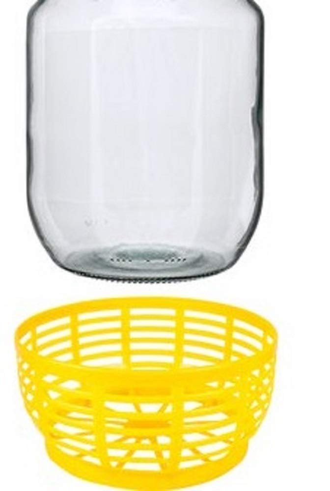 6 x 5L Glasflasche mit Ringgriff, Schutzkorb und Schraubverschluss